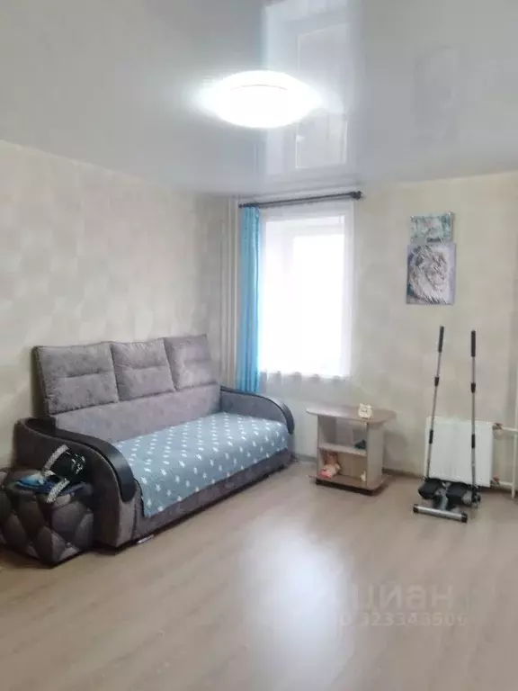 Студия Пермский край, Краснокамск ул. Декабристов, 25 (34.1 м) - Фото 2