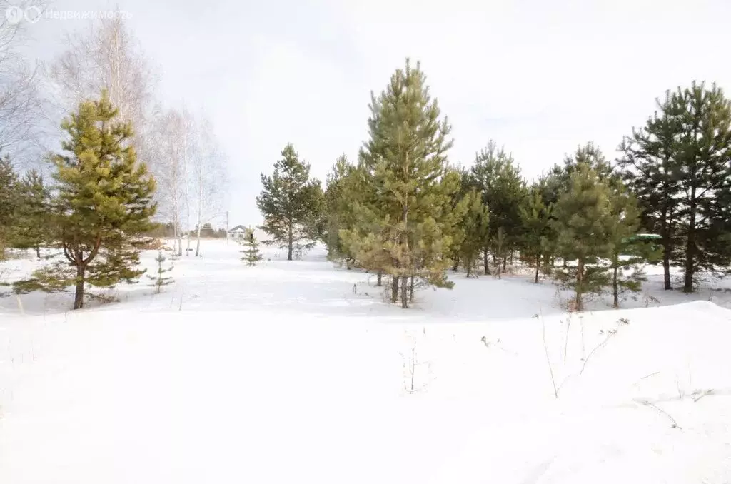 Дом в Заводоуковск, СОТ Колос, 308 (110.1 м) - Фото 1