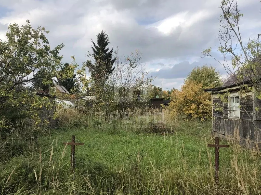 Участок в Ленинградская область, Гатчинский район, Садовод-Строитель ... - Фото 1