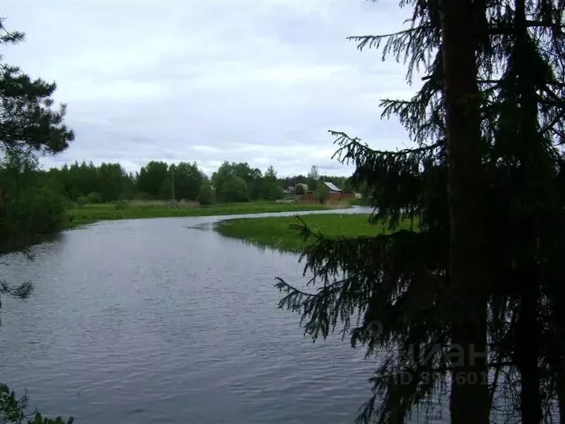 Участок в Ярославская область, Переславль-Залесский городской округ, ... - Фото 0