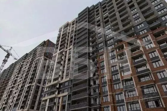 1-к кв. Воронежская область, Воронеж Подгорное мкр,  (38.1 м) - Фото 1