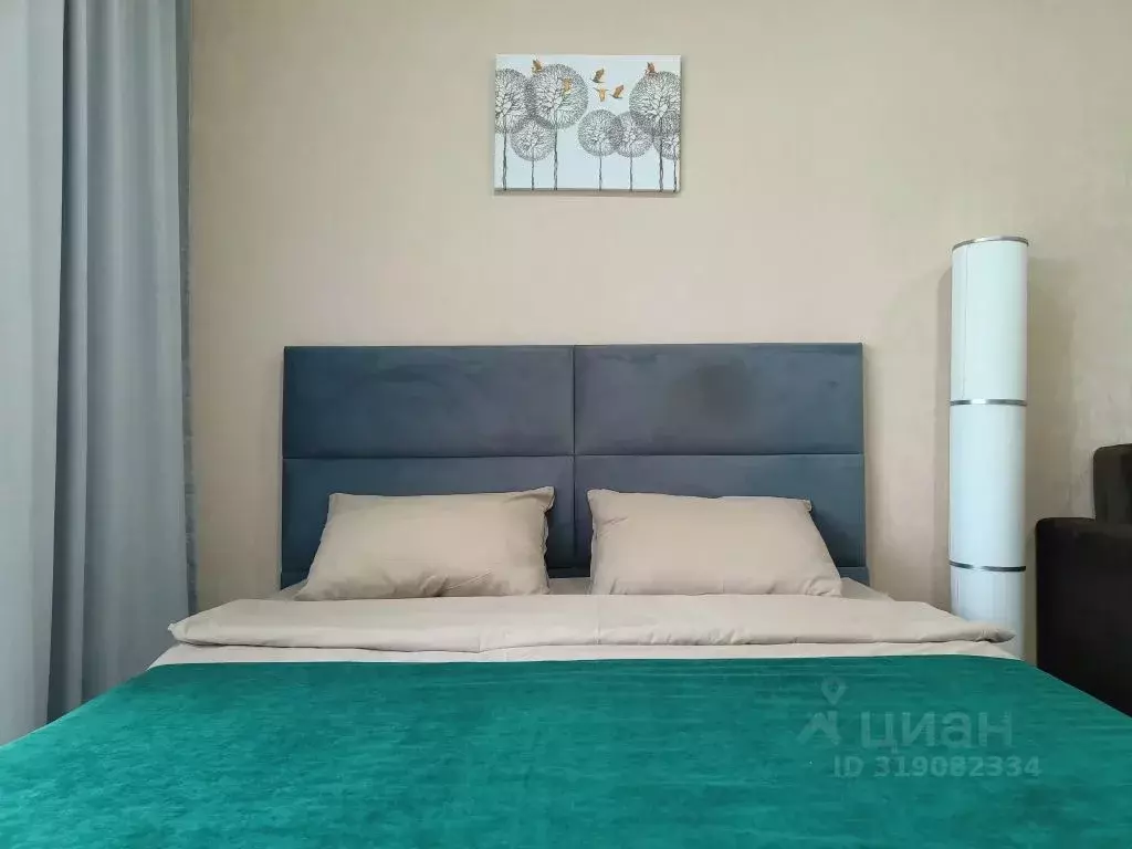 Студия Татарстан, Казань ул. Родины, 26Б (29.0 м) - Фото 1