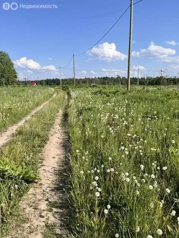 Участок в Волосовский район, Большеврудское сельское поселение, ... - Фото 0