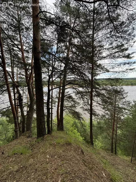 Участок в Кировская область, Орловское сельское поселение, деревня ... - Фото 1