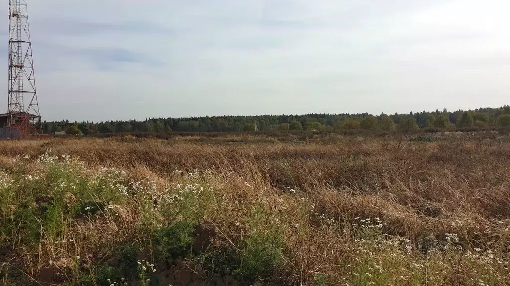 Участок в Московская область, Сергиево-Посадский городской округ, д. ... - Фото 0
