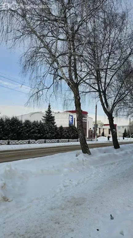 1-комнатная квартира: Октябрьский, Комсомольская улица, 19 (30.8 м) - Фото 1