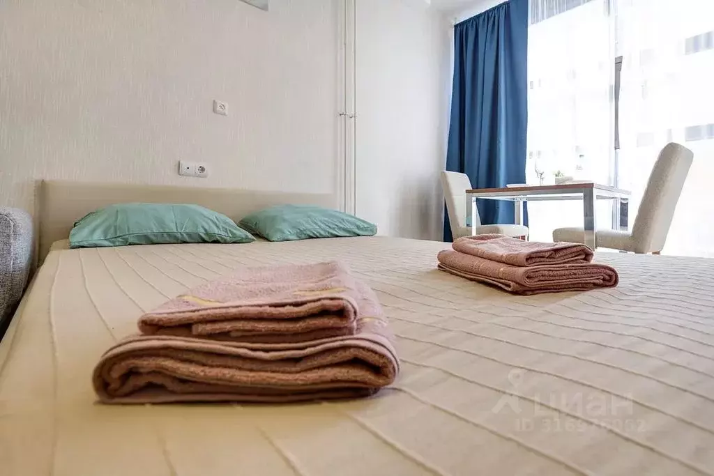 1-к кв. Санкт-Петербург Пулковское ш., 14Г (30.0 м) - Фото 0