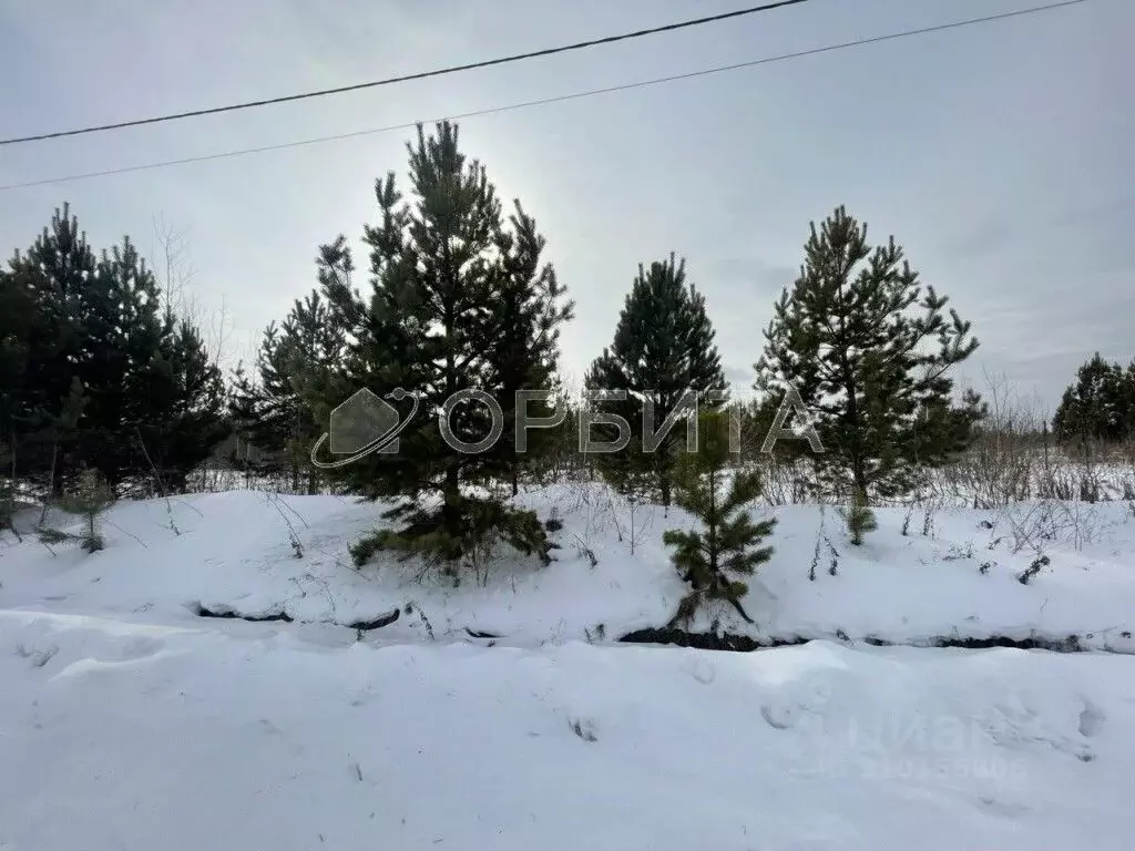 Участок в Тюменская область, Нижнетавдинский район, д. Московка 1-я ... - Фото 2