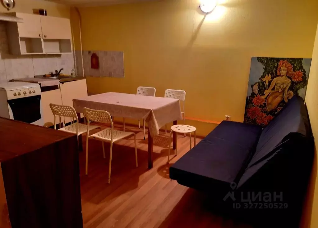 Студия Санкт-Петербург Рыбацкий просп., 39 (20.0 м) - Фото 1