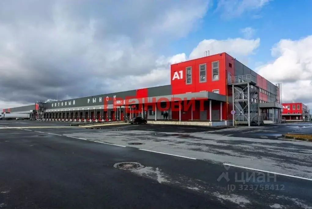 Склад в Новосибирская область, Новосибирский район, с. Толмачево ул. ... - Фото 2