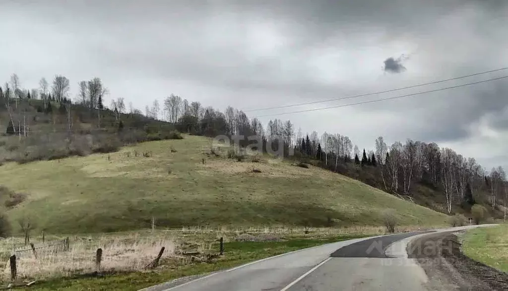 Участок в Алтай, Чойский район, с. Левинка ул. Набережная (18.1 сот.) - Фото 0