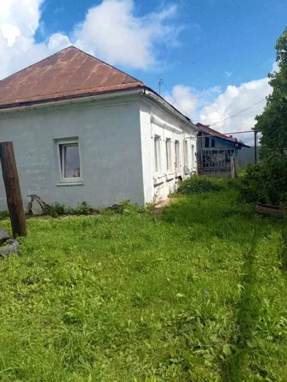 Дом в Тульская область, Тула городской округ, д. Лутовиново 6 (46 м) - Фото 1