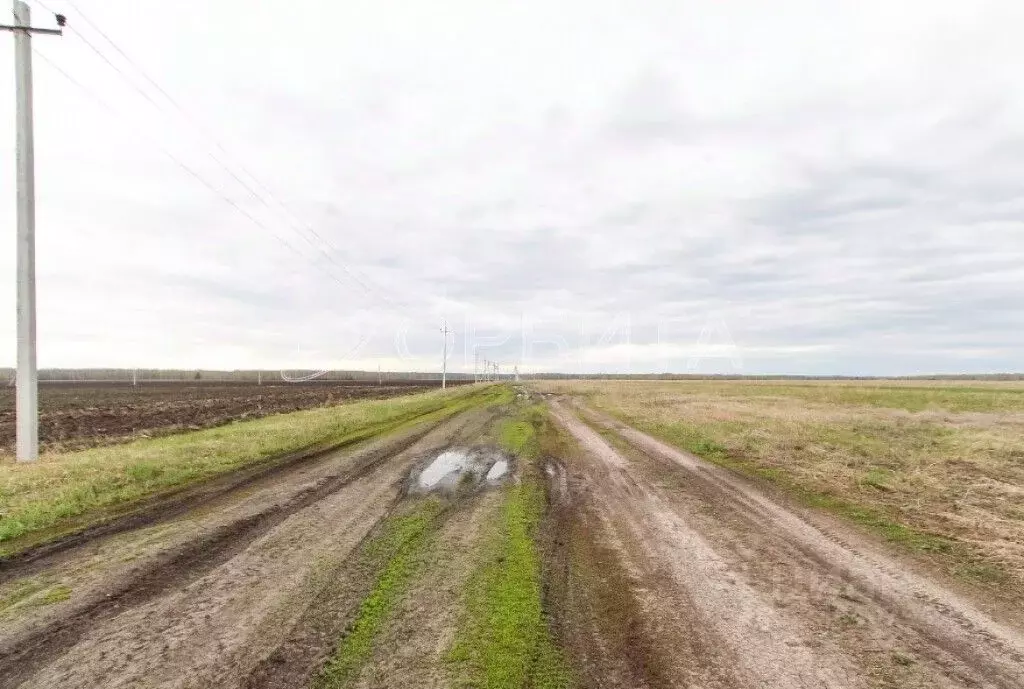 Участок в Тюменская область, Тюменский муниципальный округ, ... - Фото 2