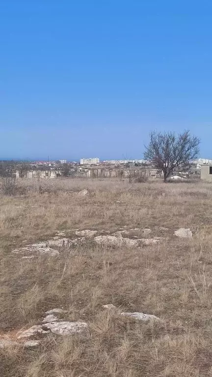 Участок в Крым, Черноморский район, с. Новосельское  (5.6 сот.) - Фото 0