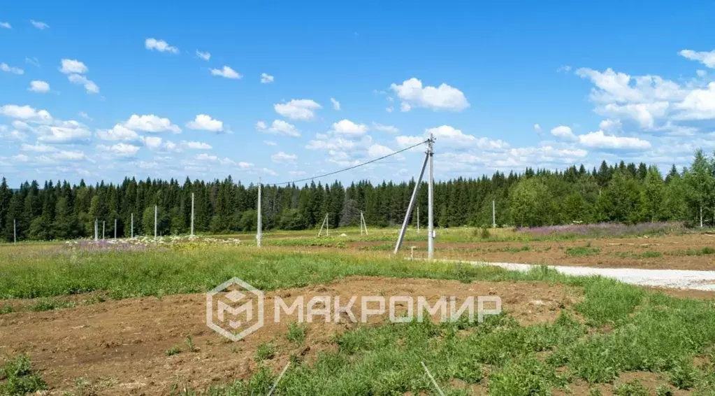 Участок в Пермский край, д. Большакино ул. Алмазная (9.07 сот.) - Фото 1