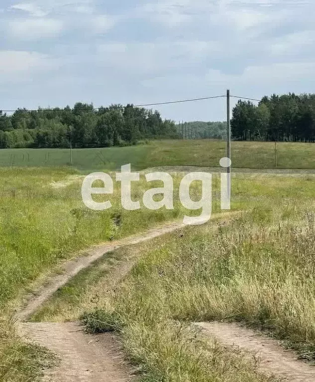 Участок в Красноярский край, Красноярск городской округ, пос. Элита  ... - Фото 1