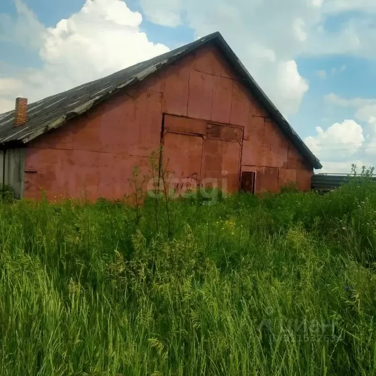 Склад в Новосибирская область, Новосибирский район, с. Толмачево ... - Фото 1