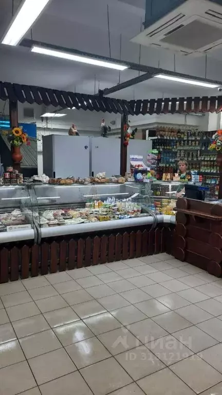 Торговая площадь в Нижегородская область, Нижний Новгород ул. Ногина ... - Фото 1