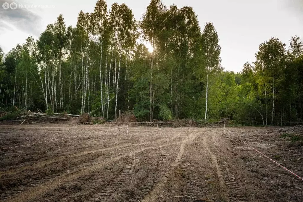 Участок в Брянская область, Жуковский муниципальный округ, село ... - Фото 1
