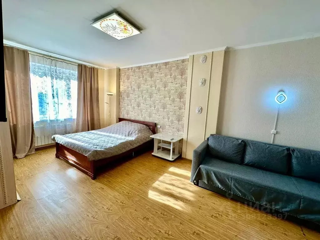 1-к кв. Нижегородская область, Нижний Новгород Волжская наб., 8к2 ... - Фото 1