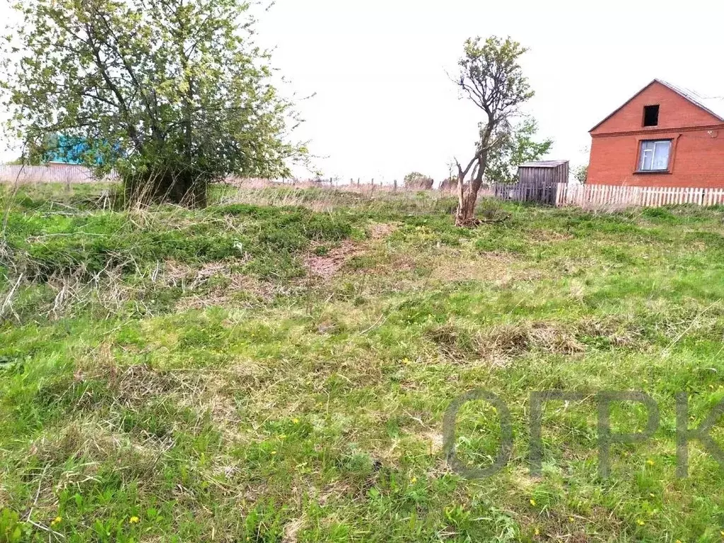 Участок в Башкортостан, Кушнаренковский район, Ахметовский сельсовет, ... - Фото 2