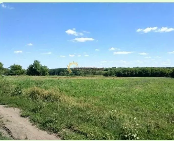 Участок в Краснодарский край, Ейск Виктория СТ, ул. 11-я (5.0 сот.) - Фото 0