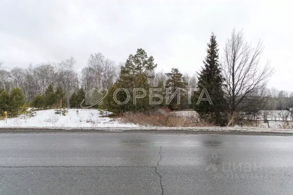 Участок в Тюменская область, Тюменский район, с. Кулига Заречная ул. ... - Фото 0