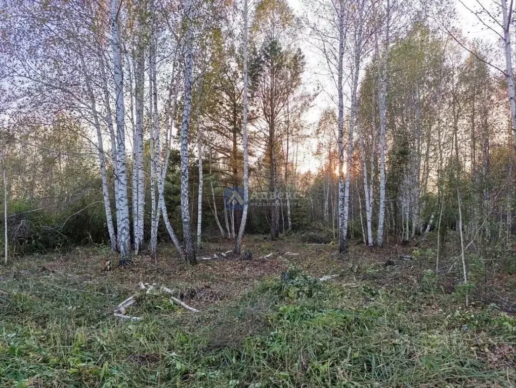 Участок в Тюменская область, Нижнетавдинский муниципальный округ, ... - Фото 1