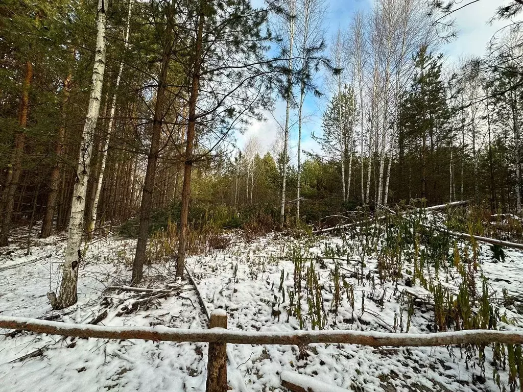 Участок в Татарстан, Зеленодольск Трудовик садовое товарищество,  (5.0 ... - Фото 1