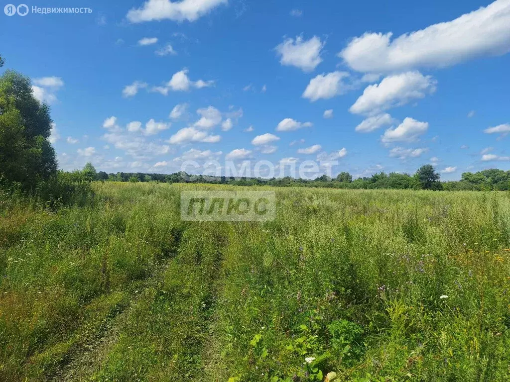 Участок в Сосновский сельсовет (4.4 м) - Фото 0