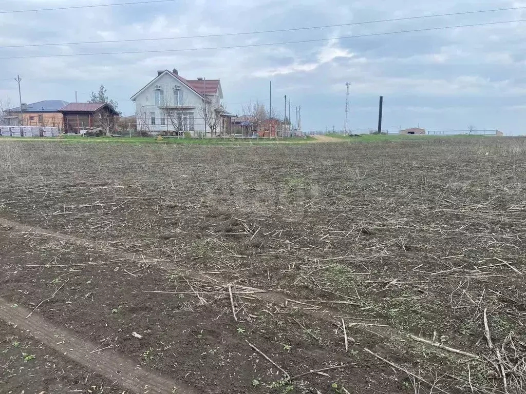 Участок в Ростовская область, Мясниковский район, с. Большие Салы ул. ... - Фото 1