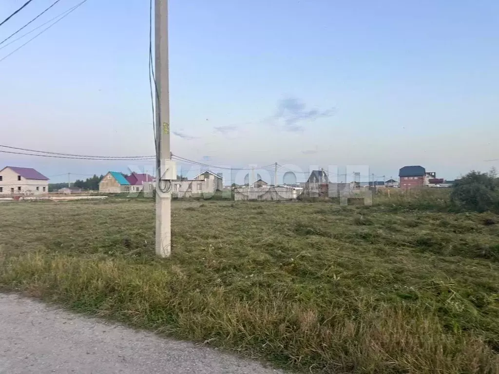 Участок в Новосибирская область, Новосибирский район, Криводановский ... - Фото 1