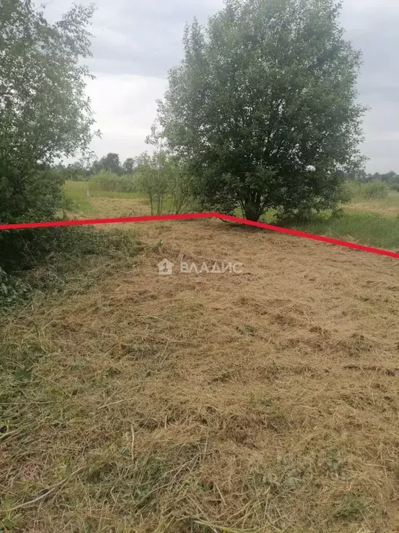 Участок в Ивановская область, Фурманов Энтузиастов мкр, 25 (8.0 сот.) - Фото 2