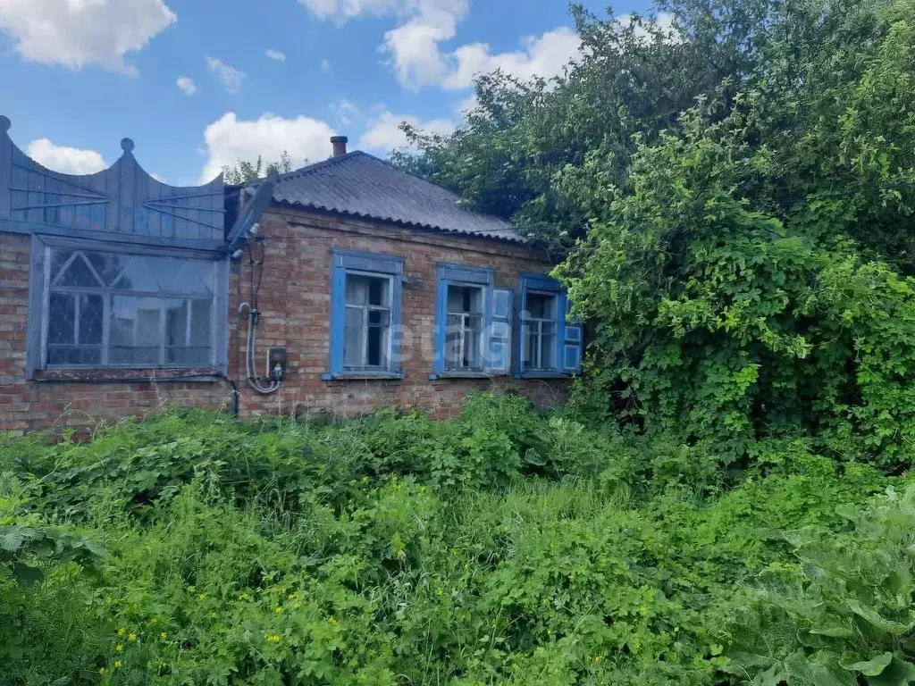 Дом в Белгородская область, Валуйский городской округ, с. Храпово ул. ... - Фото 0