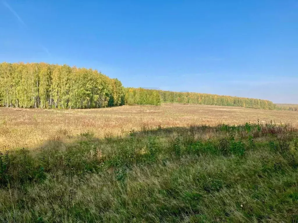 Участок в Свердловская область, Первоуральск ул. Ватутина (11.5 сот.) - Фото 1