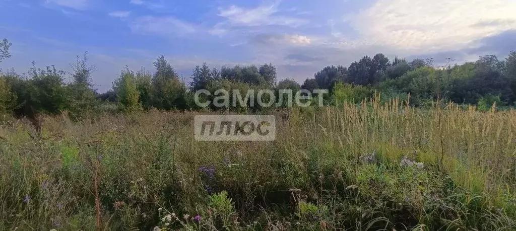 Участок в Липецкая область, Липецкий муниципальный округ, с. ... - Фото 2