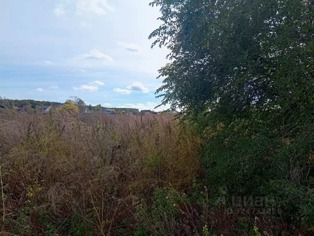 Участок в Ульяновская область, Тереньгульский район, Подкуровское ... - Фото 1