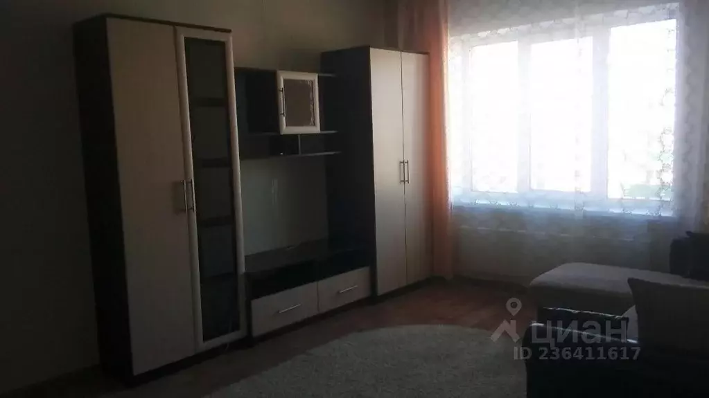 1-к кв. Псковская область, Псковский район, Завеличенская волость, д. ... - Фото 2