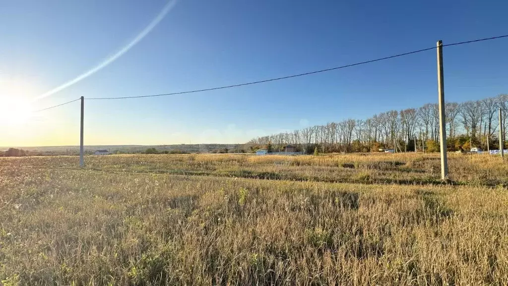 Участок в Мордовия, Саранск городской округ, пос. Пушкино  (15.0 сот.) - Фото 2