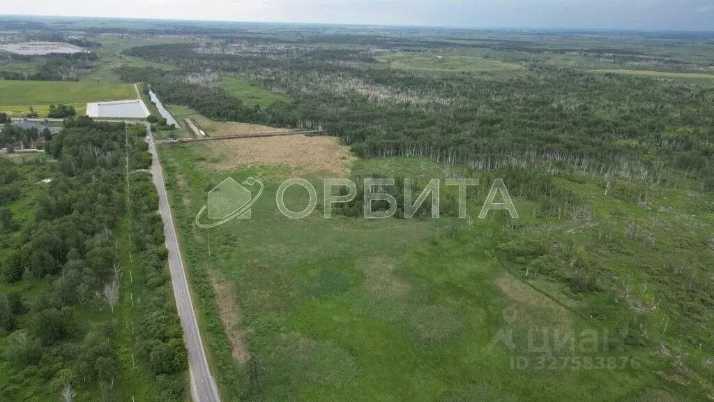 Участок в Тюменская область, Тюмень Велижанский тракт, 9-й км (50.0 ... - Фото 1