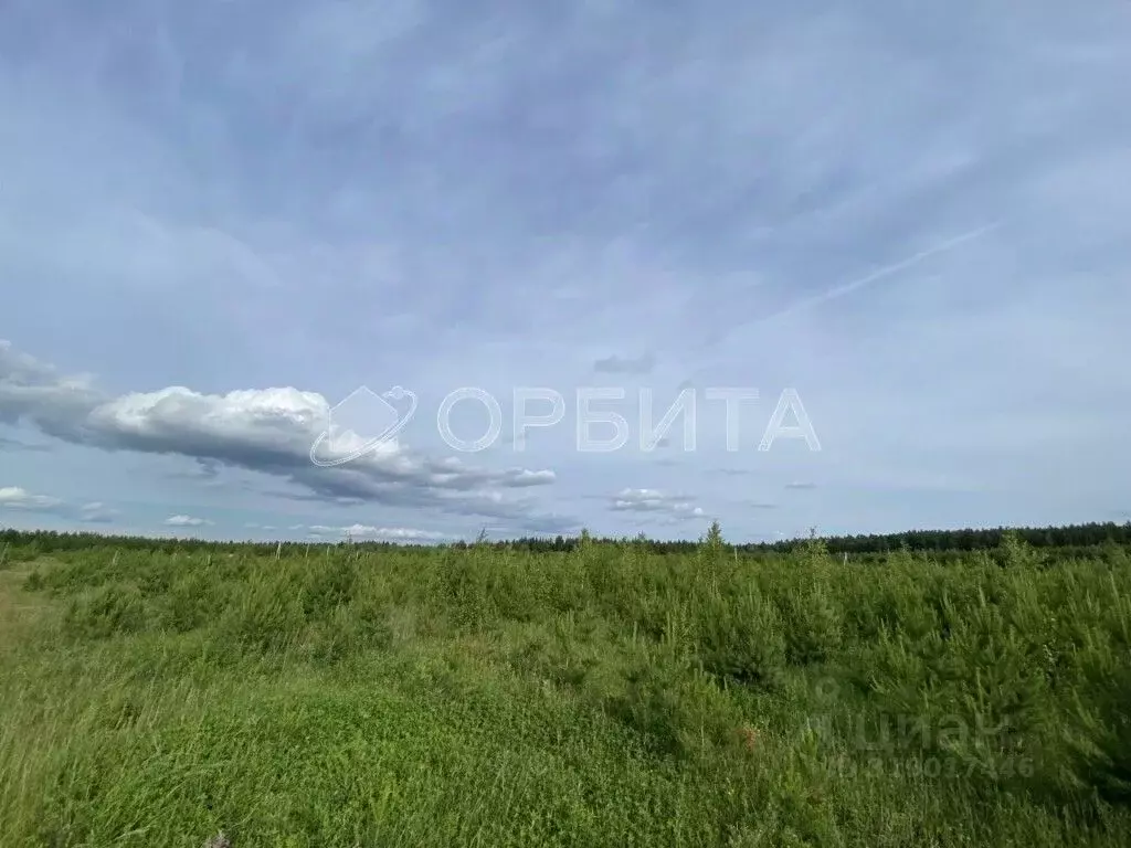 Участок в Свердловская область, Тугулым пгт ул. Новостроящаяся (11.8 ... - Фото 1