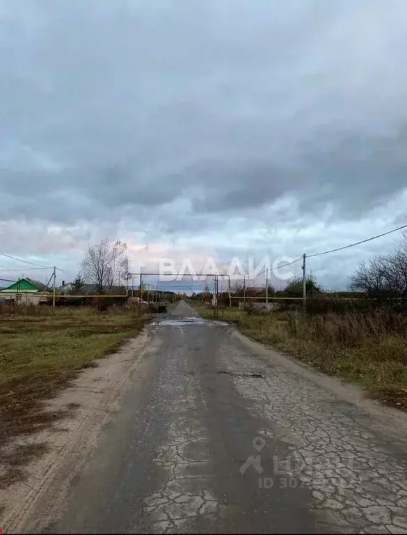 Участок в Тамбовская область, Тамбовский муниципальный округ, Новая ... - Фото 1