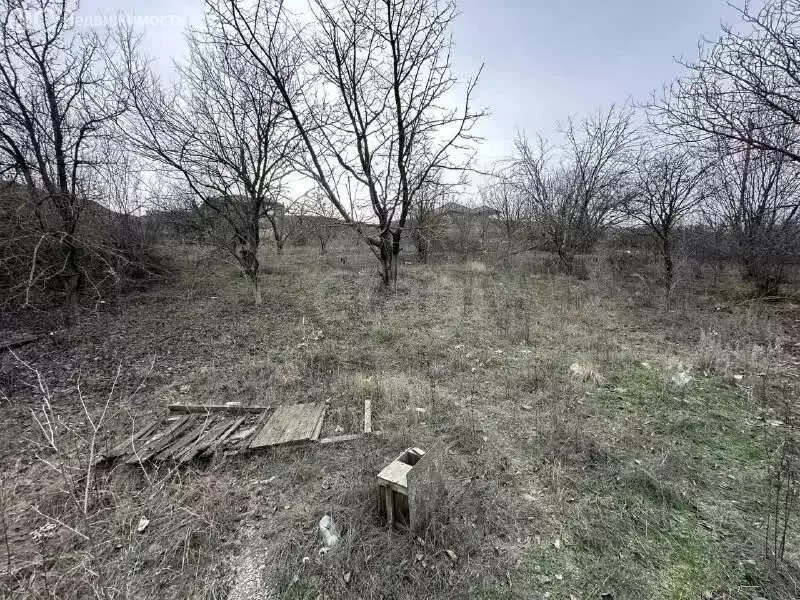 Участок в Новочеркасск, садовое товарищество № 2 АО Магнит (3.7 м) - Фото 2