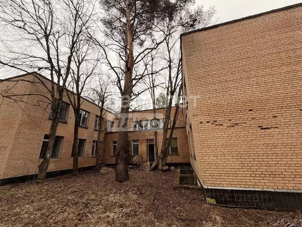 Помещение свободного назначения в Московская область, Ступино ... - Фото 1