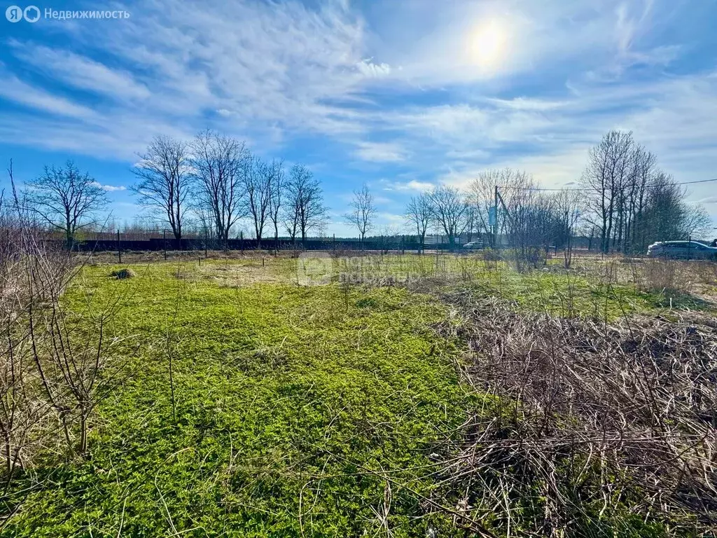 Участок в Ленинградская область, Гатчинский муниципальный округ, СНТ ... - Фото 1