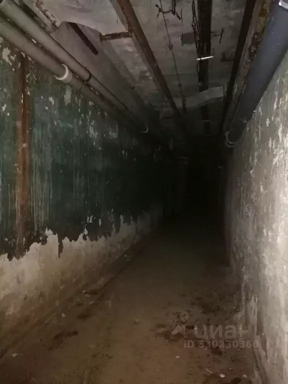 Помещение свободного назначения в Ярославская область, Ярославль ул. ... - Фото 2