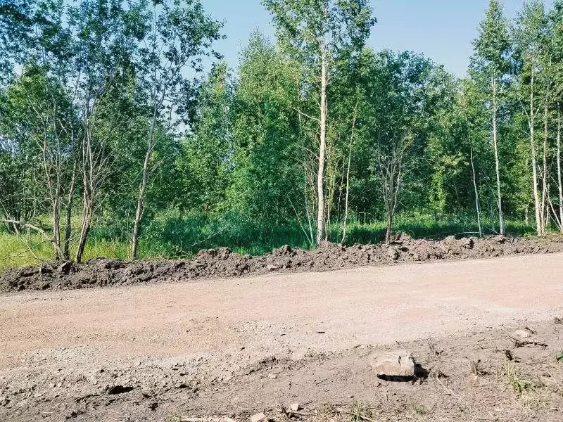 Участок в Новосибирская область, Новосибирский район, Станционный ... - Фото 1