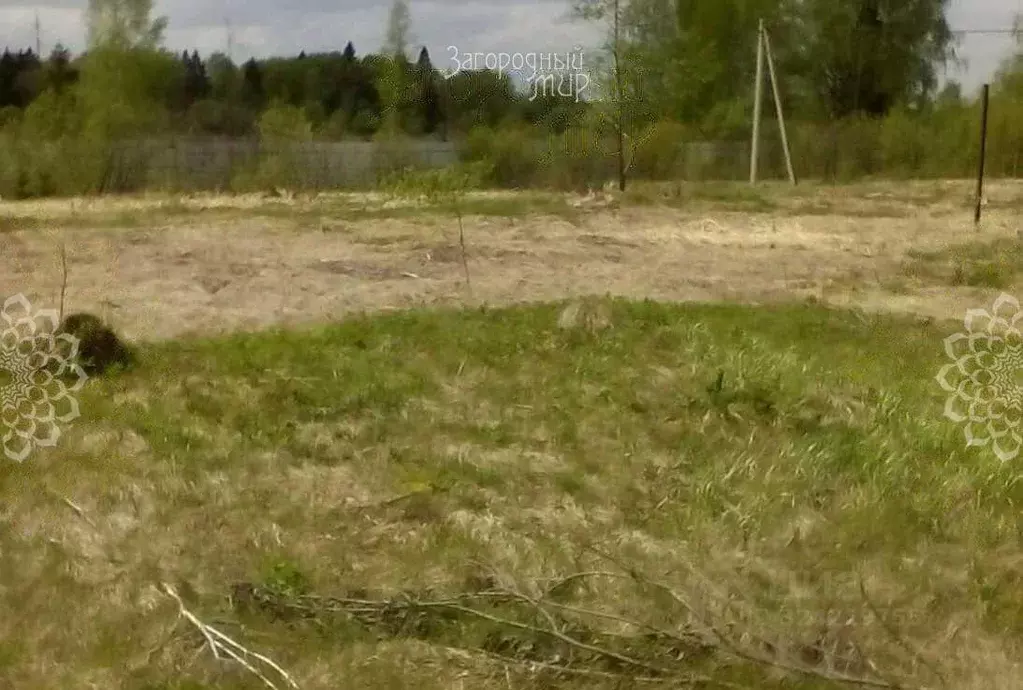 Участок в Московская область, Клин городской округ, ДНП Вишневый сад ... - Фото 2