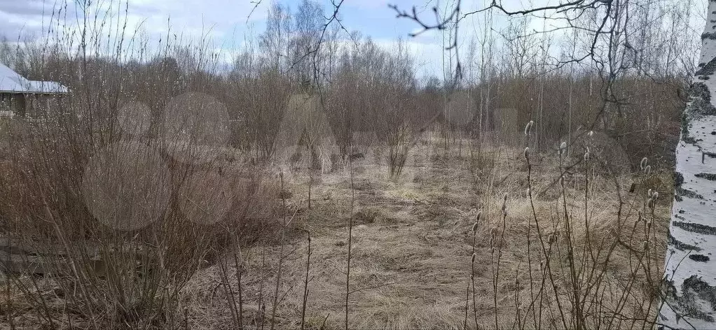 Участок 20 сот. (ИЖС) - Фото 1