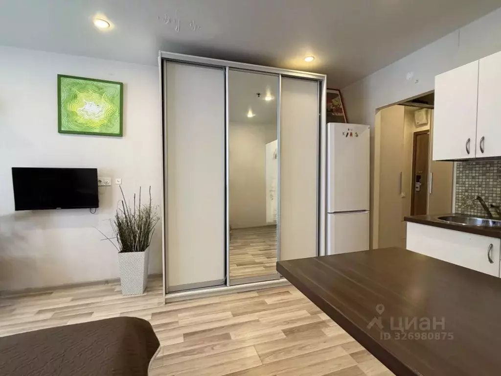 Студия Санкт-Петербург ул. Хошимина, 16А (28.0 м) - Фото 2